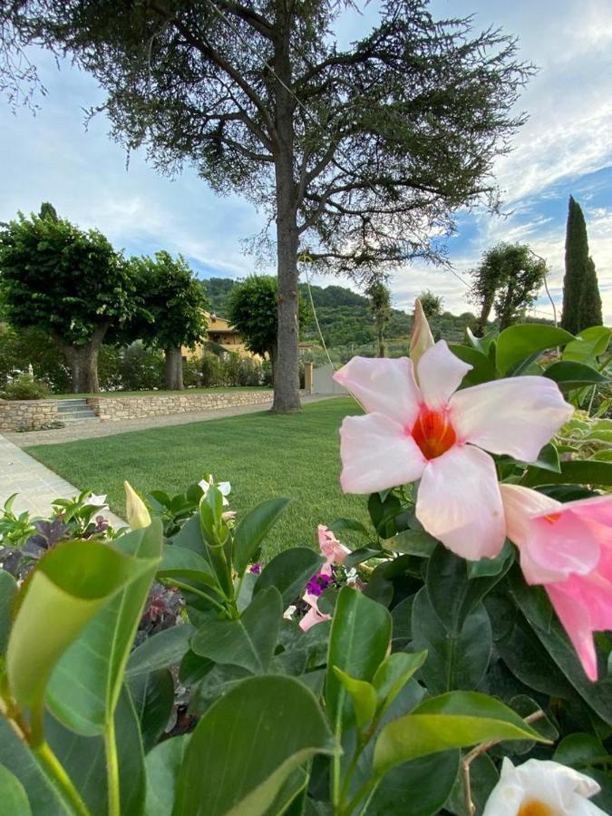 キャンニ Relais Maria Cristina Bed & Breakfast エクステリア 写真